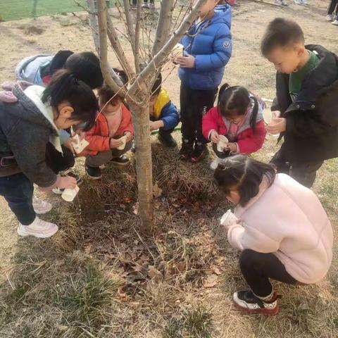 人和街道中心幼儿园——传统节日汇总