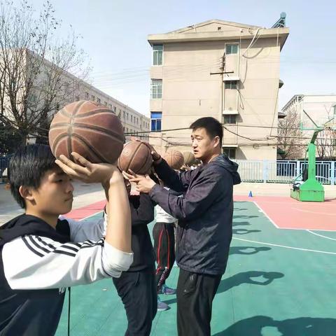 篮球🏀的美篇