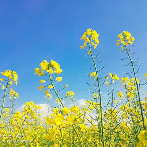 线上乐园——周四活动