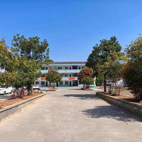 师生齐心协力，劳育落地开花——左权镇荷塘中心小学劳动教育实践活动侧记