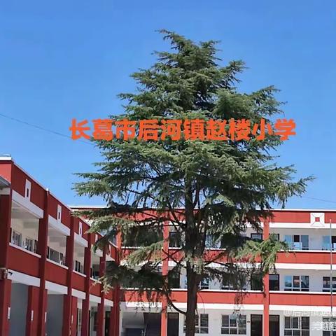 礼貌润童心，文明伴我行——赵楼小学三月“文明礼貌月”系列活动