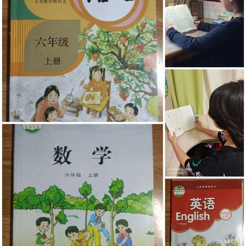 暑假生活，多姿多彩！—— 徐州市侯集实验小学五年级的缤纷暑假