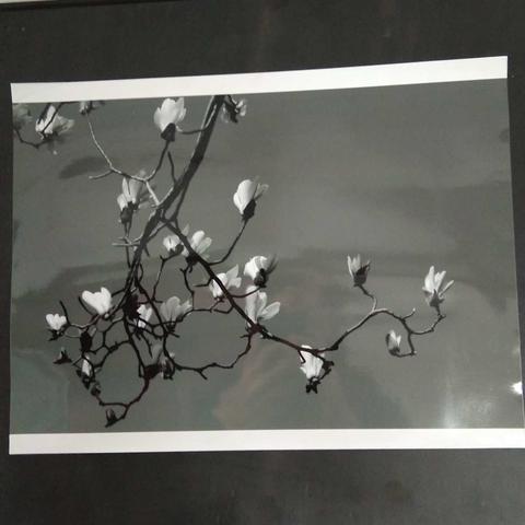 天水市天水郡小学“大美天水”摄影展