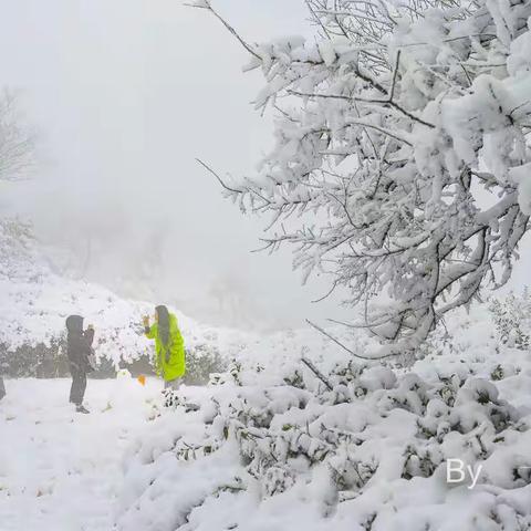 虎年邂逅第一场江南雪