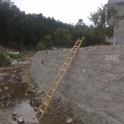 带坪上河道清淤及护岸修建项目
