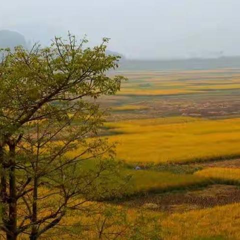 奈曼旗土城子中学八年级156班“有一种劳动叫快乐”