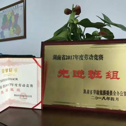 县城建开发公司项目融资部喜获“省先进班组”荣誉称号