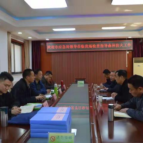 市应急管理局领导检查指导林场森林防火工作