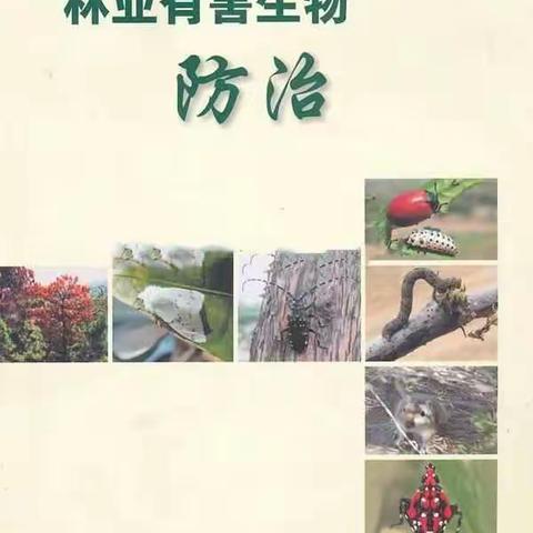 西安市小王涧国有生态林场召开2018年松材线虫病等重大林业有害生物防控工作会