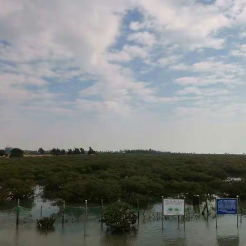 广西北海市区游相册 （3）