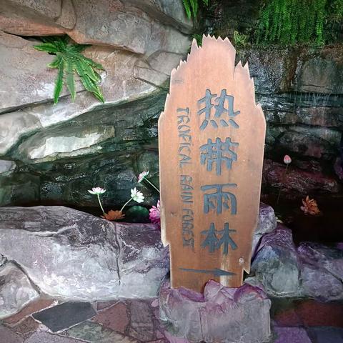 大蓬莱海洋极地世界游