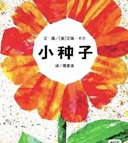 海口市美兰中心幼儿园——中一班绘本推荐《小种子》