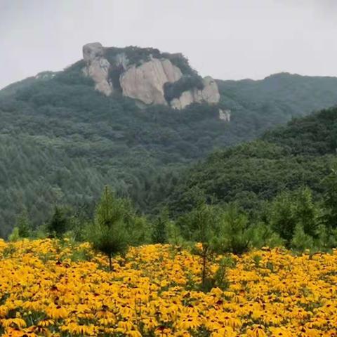 2019.7.11.八二矿机班同学自驾游，本溪绿石谷，老边沟！（副本）