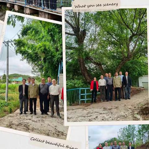 九九重阳节  浓浓敬老情---记朱坊中学重阳节活动