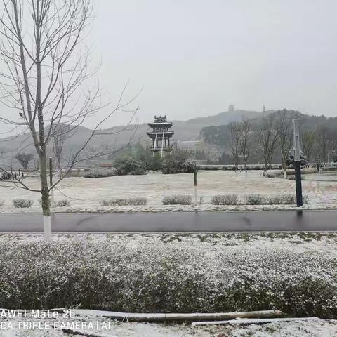 2023年的第一场雪