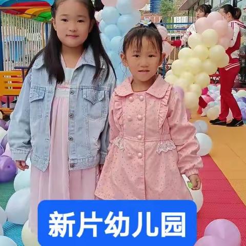 幼小衔接，我们在行动一一《新片幼儿园》