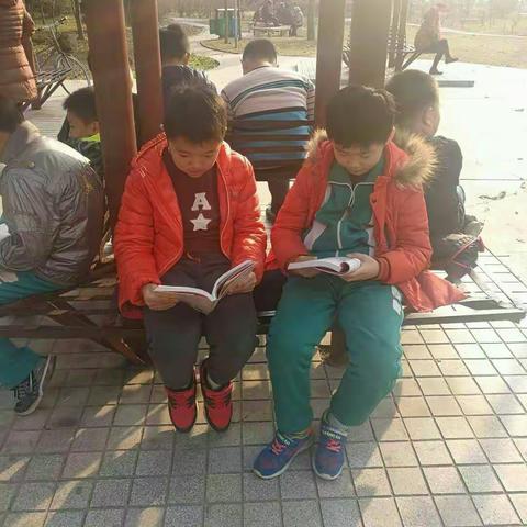 群书成海：濮阳市实验小学五（4）班读书活动