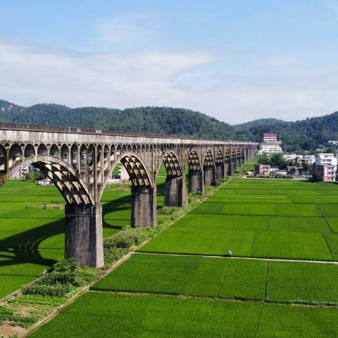 粤西五“市”联游，