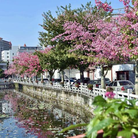 冬日暖阳，佛山黎冲村一日游