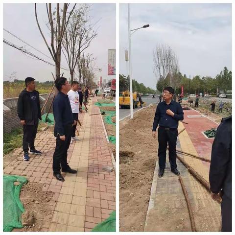 抓紧绿化施工进度，为任泽区创造美丽景观
