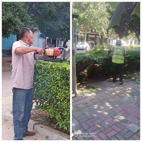 城管局绿化科积极做好夏季绿化养护工作