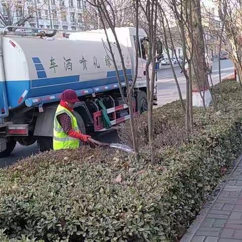 【春季养护】春回大地，任泽区绿化科做好春季绿化养护工作