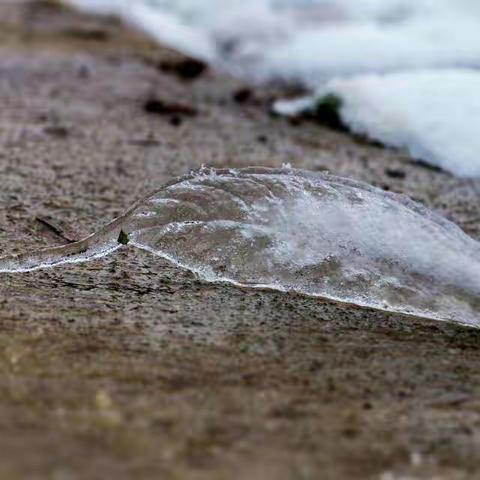 凤池山赏雪记