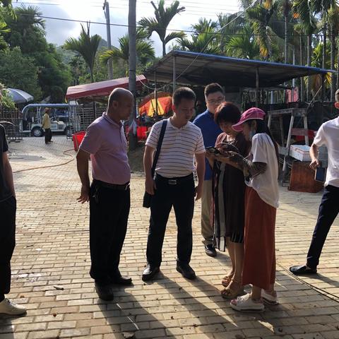 吉阳区开展建档立卡脱贫户住房安全保障核验工作