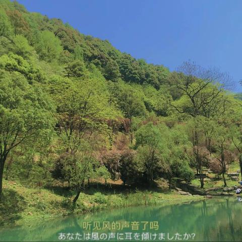 高米国际湖南黄土岭中心4月第二周主题《月度复习》