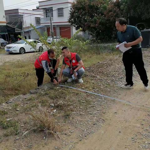 创建国家卫生城市，整治黄土裸露提升道路！