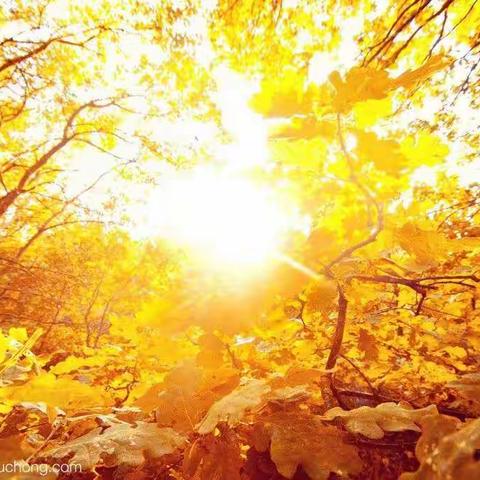 教研，是一场诗意的修行……