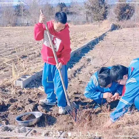 感受劳动之美，享受劳动快乐——铜矿小学劳动教育实践活动纪实（一）