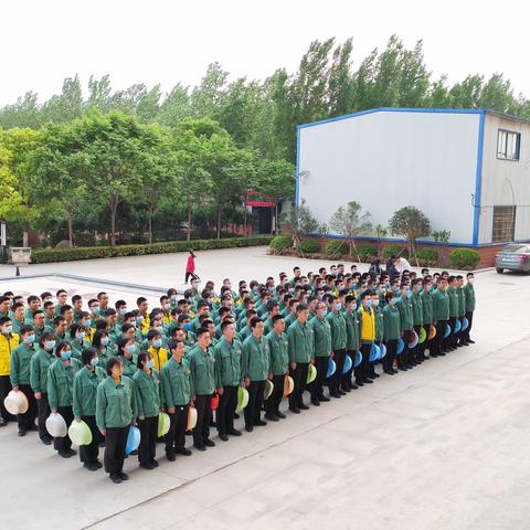 清絮降尘净家园，艰苦奋斗显蓝天｜心连心联办班清扫杨絮活动