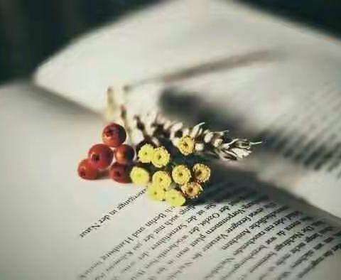 兴安一小2019假期读书二年、五年、六年级数学教师读书交流会