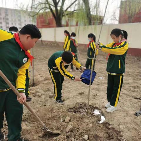 植树护绿，正当其时——濮阳市油田第十九中学四三中队植树节活动