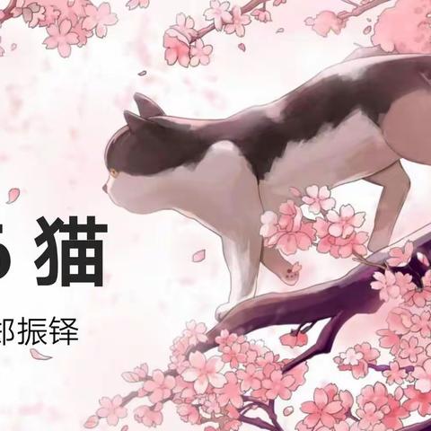 【博观约取，且行且思】——记王笑老师的公开课《猫》