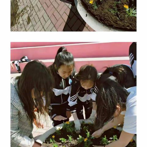 我在三中有片田——音德尔第三中学落实“七个一”实践活动