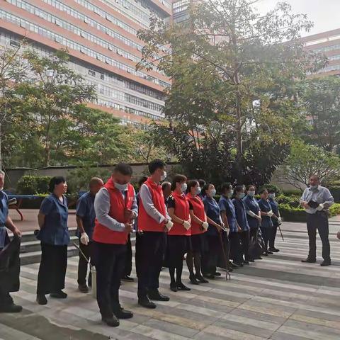 商务公园——保洁绿化先行，环境提升随至