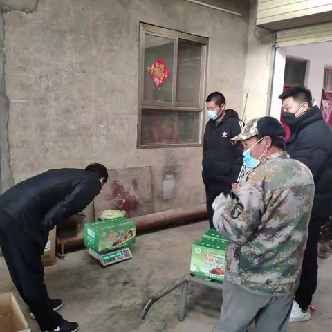 华州农业果断出击  力保供应西安蔬菜安全