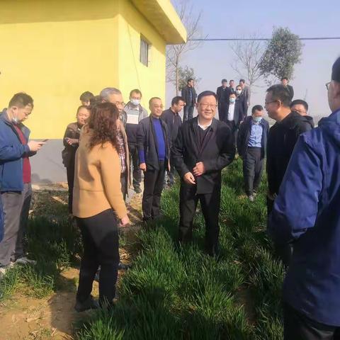 中省市各级专家深入华州指导小麦春管  保障我区夏粮稳产保收