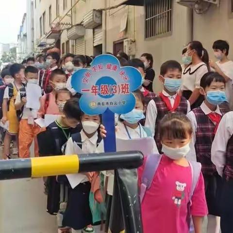 向阳花开，朵朵启航--白云小学一年级三班新生开学记