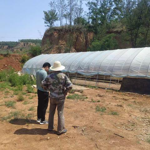 王村自然资源所6月份工作动态