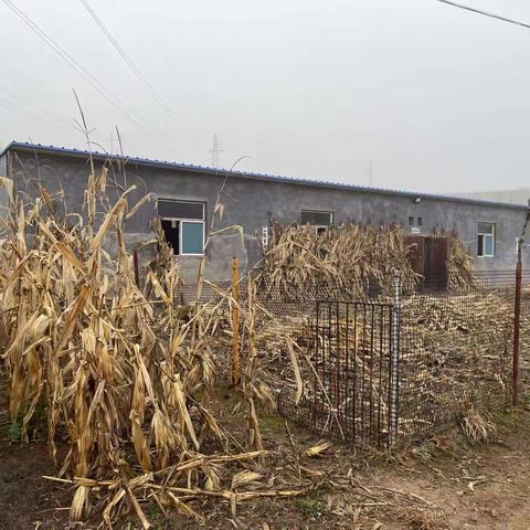 王村自然资源所11月份工作动态