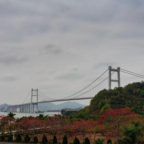 返 京 记 ， （四）