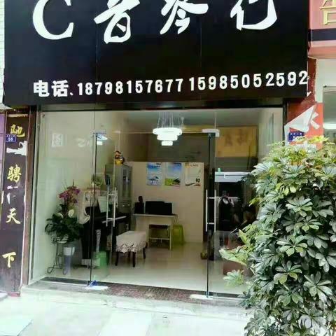 C音琴行开始招生啦！