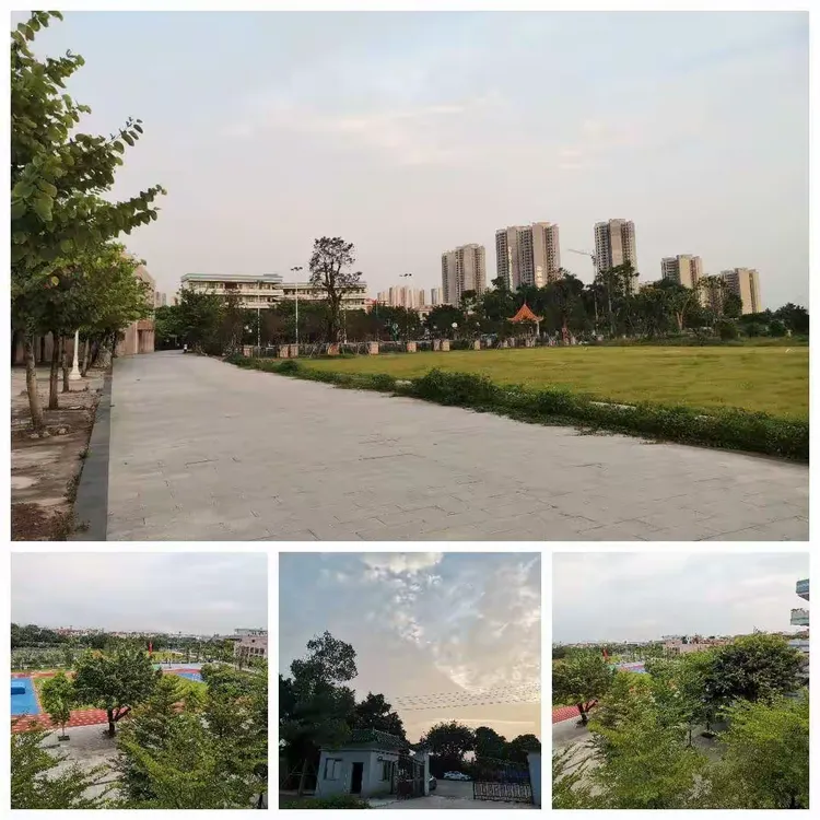 铺路作石子,护花化春泥