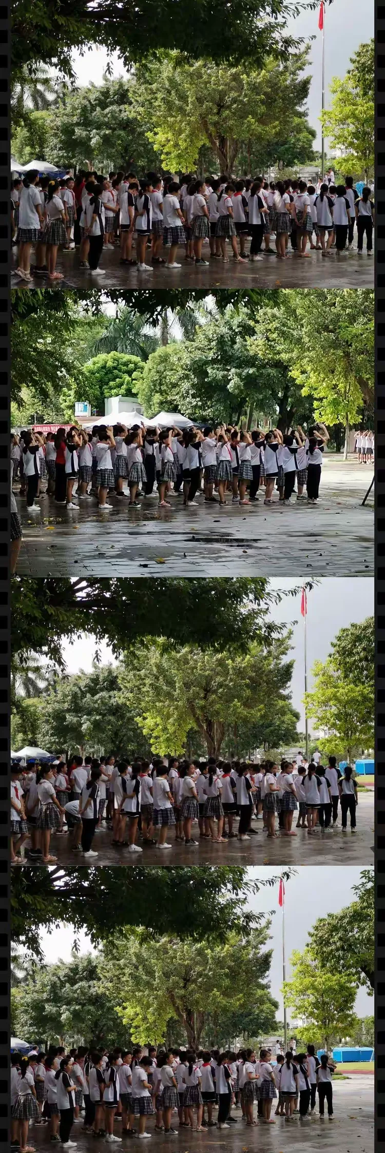 铺路作石子,护花化春泥