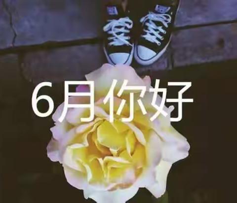 LiLi的美篇