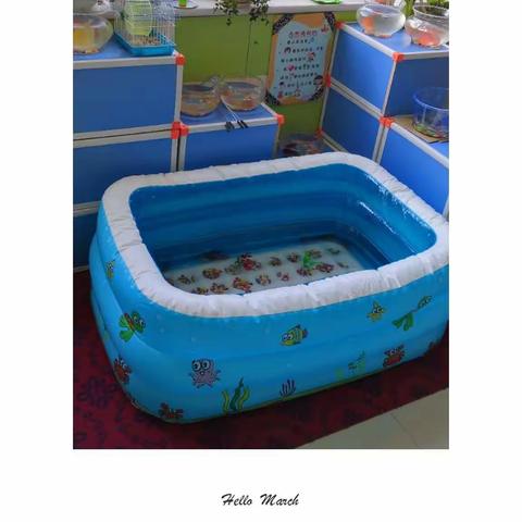 中一班家长进课堂之民间传统游戏及棋艺特色教学活动