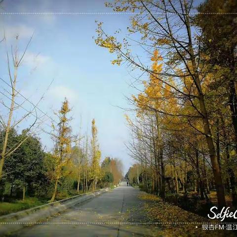 群策群建  美丽清水